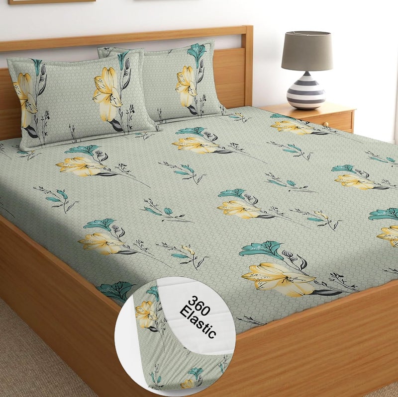 STARNSTYLE 100% Cotton Super Soft 240 Thread Count Elastic Fitted King Size Bedsheet with 2 Pillow Covers - Grey Yellow - Image 1